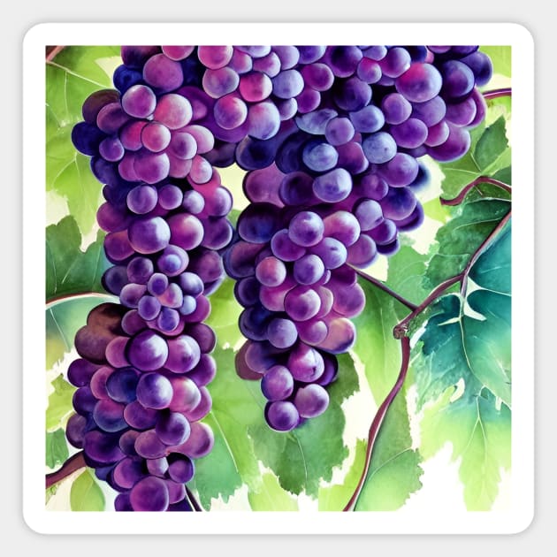 Grapes on the Vine in Watercolor Magnet by ArtistsQuest